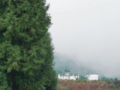 -玉舍国家森林公园