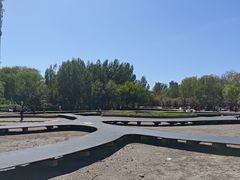 -长白岛森林公园