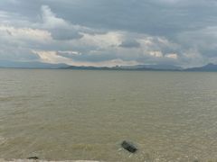 -深圳湾公园(南山区)