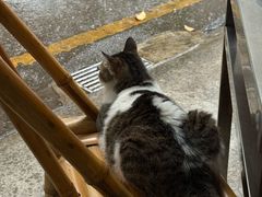 -铜瓢江湖兔火锅(水碾河社区店)