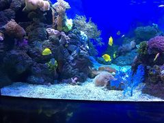 -成都浩海立方海洋公园