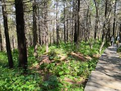 -白草畔自然风景区