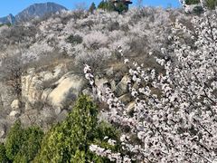 -白水寺森林公园
