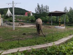 -哈尔滨北方森林动物园