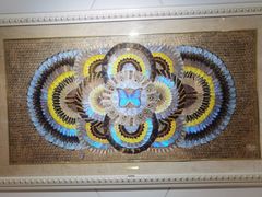 -上海昆虫博物馆