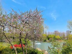 -新虹桥中心花园