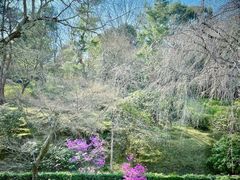 -天龙寺