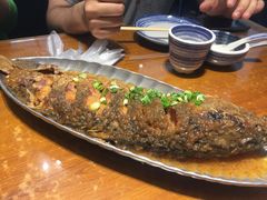 黄焖大鲤鱼-95号酱骨·一块豆腐(展春园西路店)