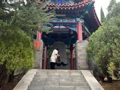 -龙口南山旅游景区