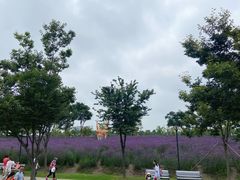 -季高兔窝窝亲子园(上海薰衣草公园店)