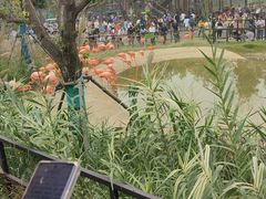-武汉动物园