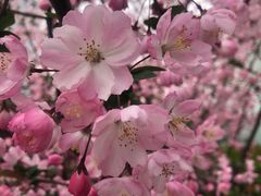 -718·私房·菜(尚大国际店)