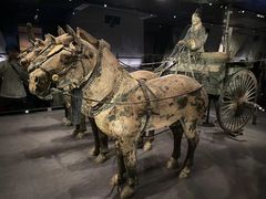 -秦始皇帝陵博物院(兵马俑)