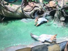 -华夏文旅海洋公园