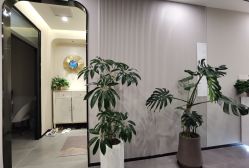 -克丽缇娜