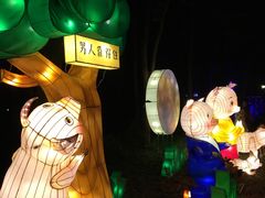 -昆山城市生态森林公园