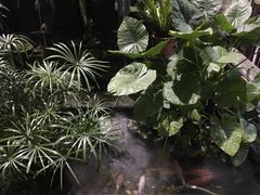-润泽园椰子鸡(汇一城店)