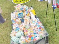 -陆家嘴中心绿地