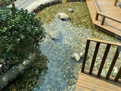 -蒙蒙狮蒙台梭利儿童之家