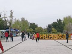 -曹州牡丹园