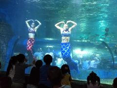 -苏州海洋馆