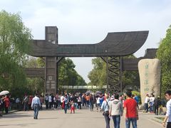 -溱湖国家湿地公园