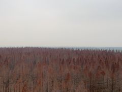 -黄海国家森林公园