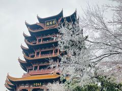 -黄鹤楼