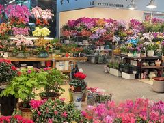 -双季花艺园艺市场(浦东店)