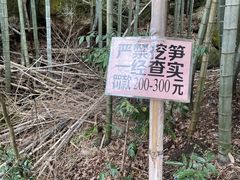 -黄山翡翠谷景区