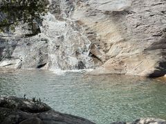 -霸王岭国家森林公园