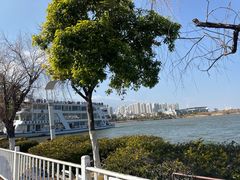 -洱海月湿地公园