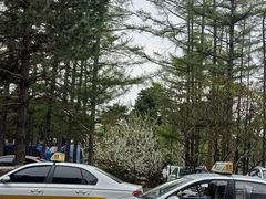 -长春市南湖公园