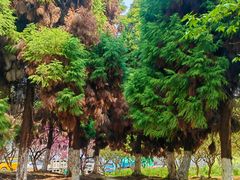 -白塘生态植物园