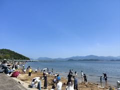 -黄贤森林公园