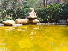 -天目湖涵田半山温泉