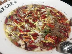 -新太二·鲜料川菜(万泰汇店)