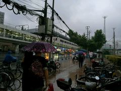-捞王锅物料理(凯旋路店)