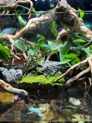 -酷嗒动物文化乐园(cutezoo西溪乐天城店)