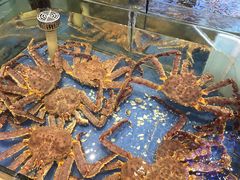 -山东八大碗山东老字号