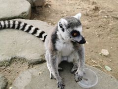 -杭州野生动物世界