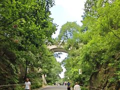 -北山公园