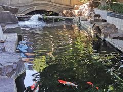 -无锡君来洲际酒店