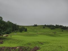 -新疆那拉提国家旅游度假区