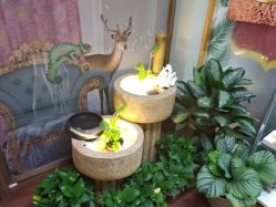 -苗方清颜·祛痘皮肤管理