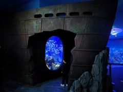 -成都浩海立方海洋公园