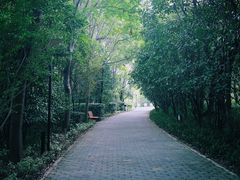 -吴淞炮台湾湿地森林公园烧烤区