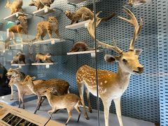 -浙江自然博物院(杭州馆)