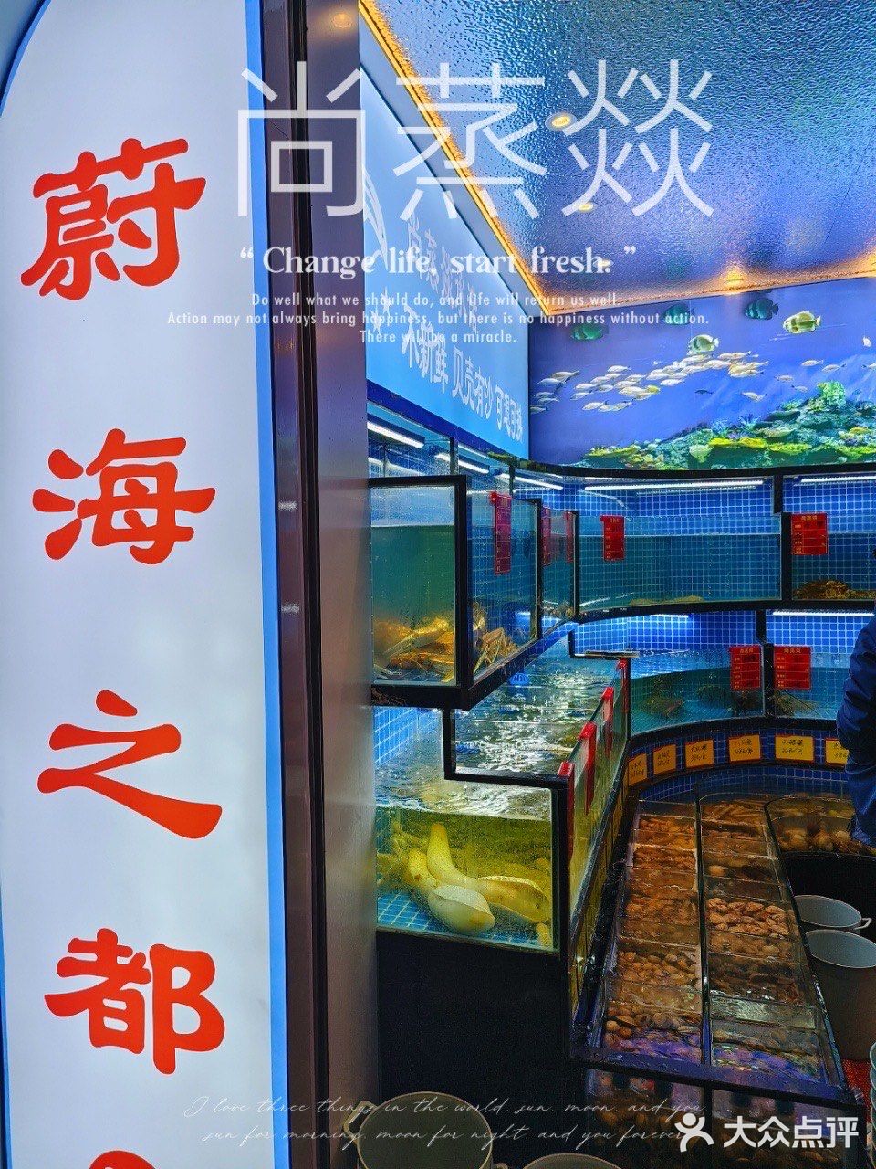 ✅️尚蒸燚蒸汽海鲜，海鲜界的高科技❗️❗️❗️