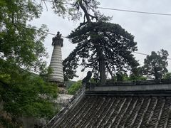 -潭柘寺景区